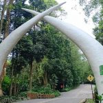 Menyelamatkan Spesies Endemik Jadi Strategi Konservasi Taman Safari Saat Ini