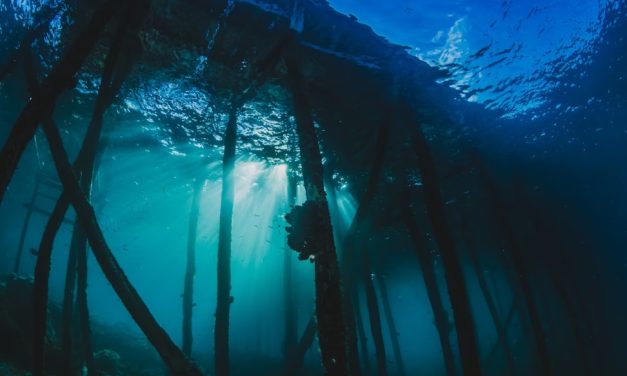 Eksplorasi Laut Dalam: Misteri Yang Belum Terungkap