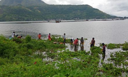 Upaya Pelestarian Danau Toba Menghadapi Penurunan Kadar Air