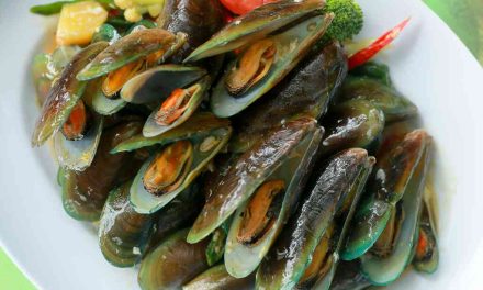 Kerang Hijau: Kandungan Gizi Dan Risiko Konsumsinya