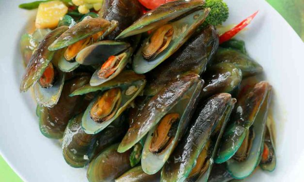 Kerang Hijau: Kandungan Gizi Dan Risiko Konsumsinya