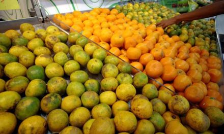 Khasiat Jeruk Lokal Yang Tidak Kalah Dengan Buah Impor