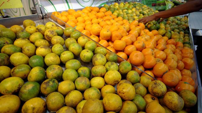 Khasiat Jeruk Lokal Yang Tidak Kalah Dengan Buah Impor