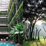 Hotel Ramah Lingkungan: Tren Akomodasi Yang Semakin Diminati