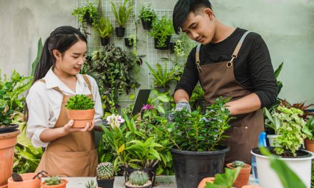 Cara Merawat Tanaman Di Rumah Agar Tumbuh Subur Dan Sehat