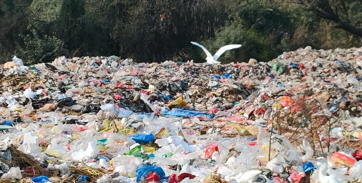 Darurat Sampah: Ancaman Bagi Lingkungan Dan Kesehatan