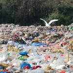 Darurat Sampah: Ancaman Bagi Lingkungan Dan Kesehatan