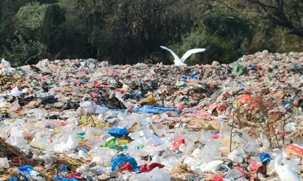 Darurat Sampah: Ancaman Bagi Lingkungan Dan Kesehatan