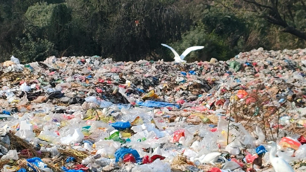 Darurat Sampah: Ancaman Bagi Lingkungan Dan Kesehatan