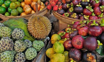Mengenal Beragam Jenis Buah Tropis Yang Tumbuh Di Nusantara