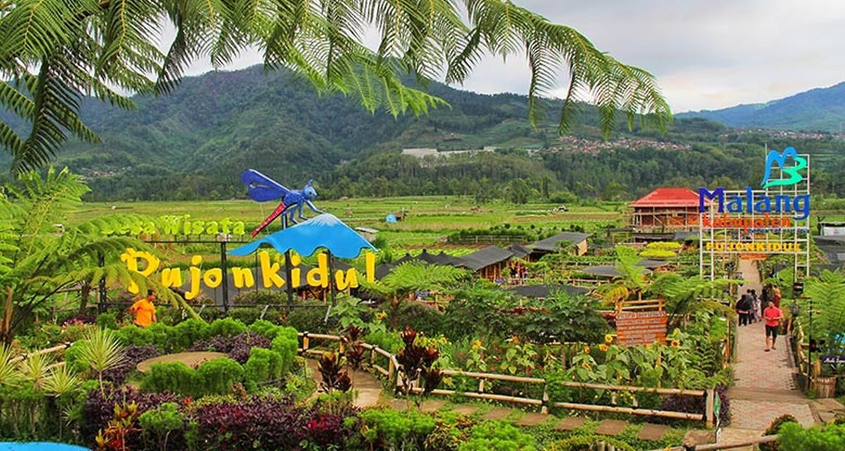 Desa Wisata: Potensi Lokal Yang Menarik Perhatian Wisatawan