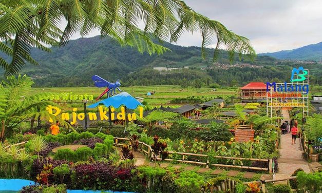 Desa Wisata: Potensi Lokal Yang Menarik Perhatian Wisatawan