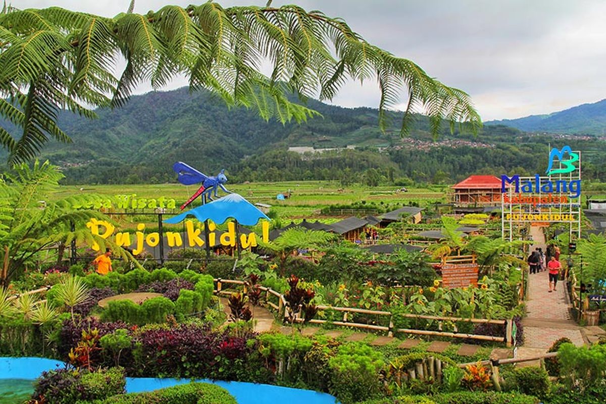 Desa Wisata: Potensi Lokal Yang Menarik Perhatian Wisatawan