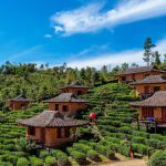 Desa Wisata: Mengoptimalkan Potensi Alam Dan Budaya Lokal