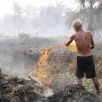 Kerugian Kebakaran Hutan: Dampak Bagi Kesehatan Dan Ekonomi