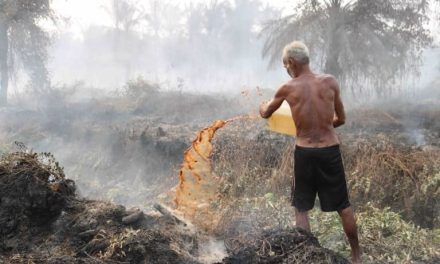 Kerugian Kebakaran Hutan: Dampak Bagi Kesehatan Dan Ekonomi