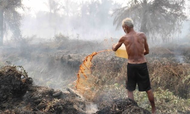 Kerugian Kebakaran Hutan: Dampak Bagi Kesehatan Dan Ekonomi