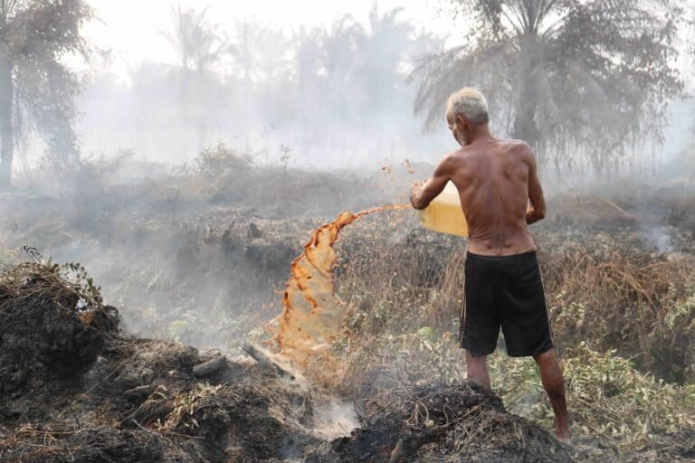 Kerugian Kebakaran Hutan: Dampak Bagi Kesehatan Dan Ekonomi