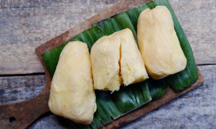 Makanan Fermentasi: Mengenal Proses Pengolahan Dan Manfaat