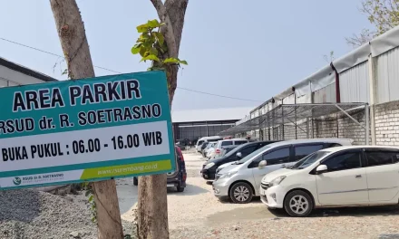 Pengelolaan Parkir: Solusi Mengatasi Keterbatasan Lahan Kota